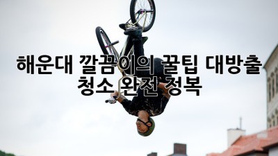 해운대 깔끔이의 ✨꿀팁 대방출✨: 청소 완전 정복!